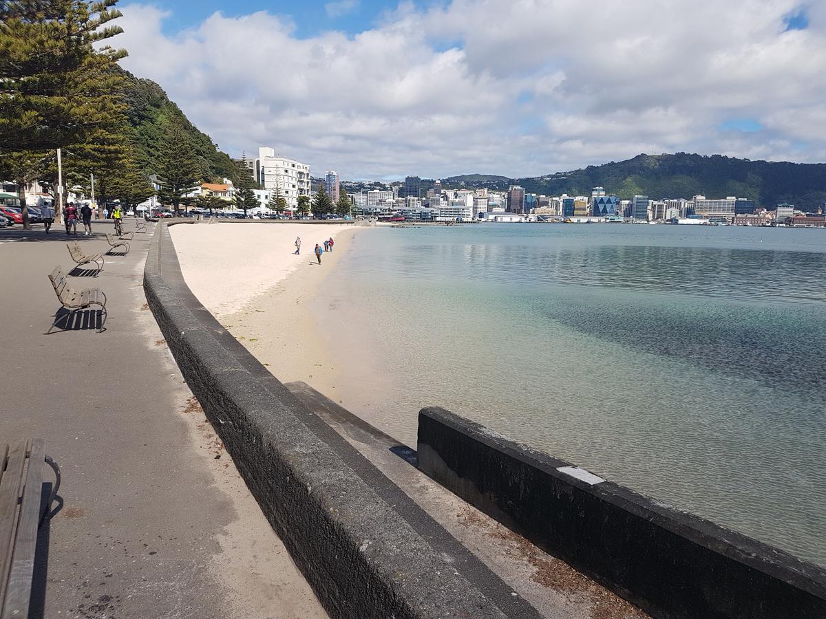 B And B On Hay Street By The Sea Wellington Exterior photo